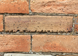 Handmade bricks